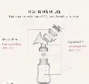 62.webp